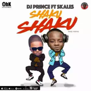 Instrumental: Skales - Shaku Shaku ft. DJ Prince